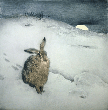 Wintertwilight
